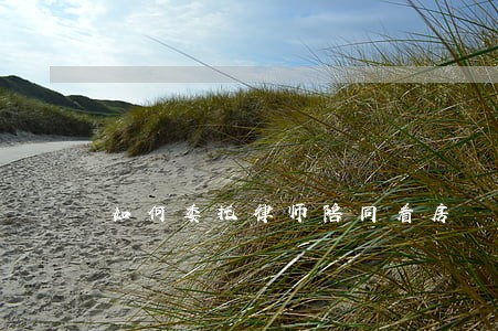 如何委托律师陪同看房 如何委托律师陪同看房