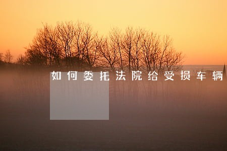 如何委托法院给受损车辆定损 如何委托法院给受损车辆定损