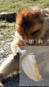 如何学会财经法规这门课 如何学会财经法规这门课