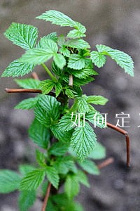 如何定义违法建筑云浮市 如何定义违法建筑云浮市