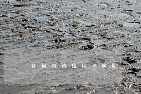 如何对待信用卡逾期 如何对待信用卡逾期