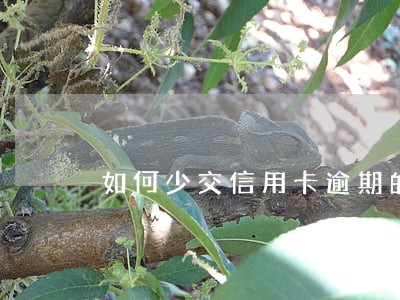 如何少交信用卡逾期的利息 如何少交信用卡逾期的利息