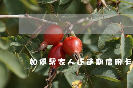 如何帮家人还逾期信用卡
