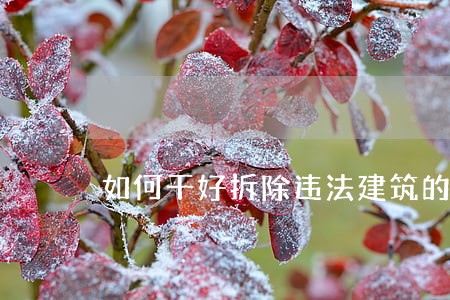 如何干好拆除违法建筑的工作 如何干好拆除违法建筑的工作