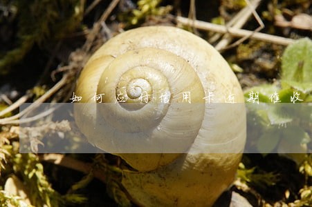 如何应付信用卡逾期催收 如何应付信用卡逾期催收