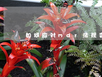 如何应对mdr法规变化