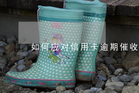 如何应对信用卡逾期催收