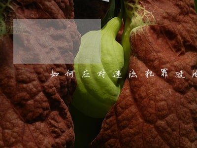 如何应对违法犯罪政治 如何应对违法犯罪政治