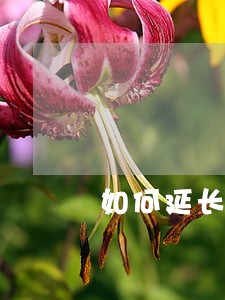 如何延长诉讼简易程序 如何延长诉讼简易程序
