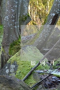 如何开专利代理公司 如何开专利代理公司