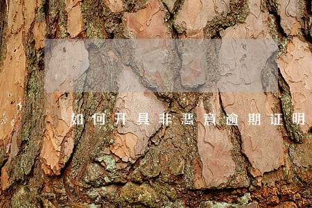 如何开具非恶意逾期证明6 如何开具非恶意逾期证明6