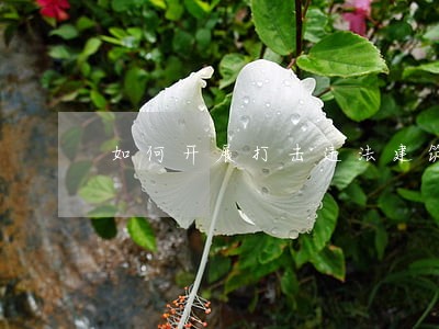 如何开展打击违法建筑措施 如何开展打击违法建筑措施