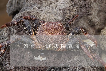 如何开展法院调研工作 如何开展法院调研工作