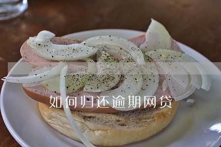 如何归还逾期网贷