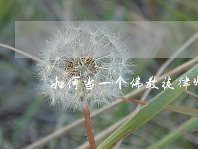 如何当一个佛教徒律师 如何当一个佛教徒律师