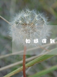 如何得到律师资格证 如何得到律师资格证