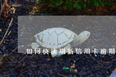 如何快速刷新信用卡逾期记录 如何快速刷新信用卡逾期记录