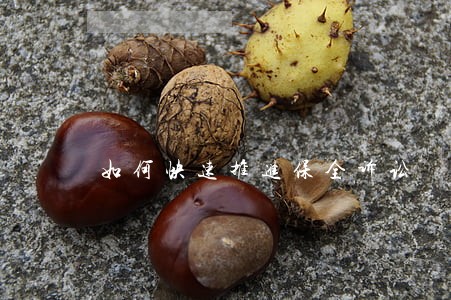 如何快速推进保全诉讼