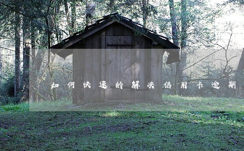 如何快速的解决信用卡逾期 如何快速的解决信用卡逾期