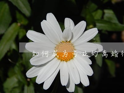 如何成为专业的离婚律师 如何成为专业的离婚律师