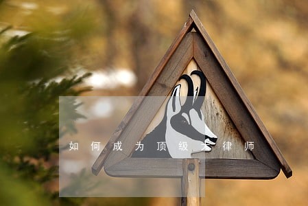 如何成为顶级大律师 如何成为顶级大律师