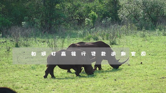 如何打赢银行贷款逾期官司 如何打赢银行贷款逾期官司