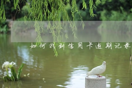 如何找到信用卡逾期记录