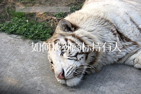 如何找到商标持有人 如何找到商标持有人
