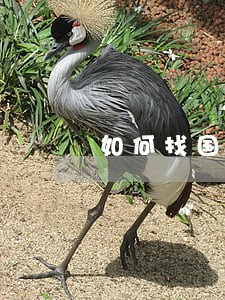 如何找国外法律条文 如何找国外法律条文