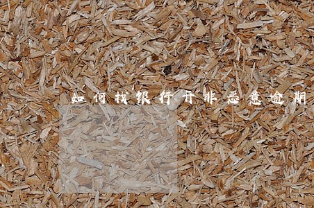 如何找银行开非恶意逾期证明 如何找银行开非恶意逾期证明