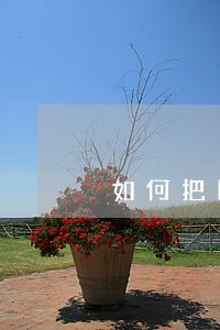 如何把四季床放在律师事务所二楼 如何把四季床放在律师事务所二楼