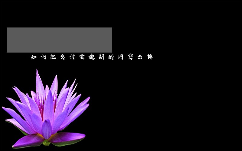 如何把支付宝逾期的网贷去掉 如何把支付宝逾期的网贷去掉