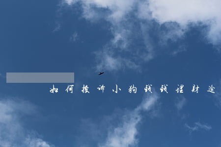 如何投诉小狗钱钱理财逾期