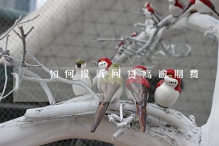 如何投诉网贷高逾期费 如何投诉网贷高逾期费