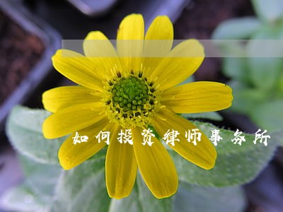 如何投资律师事务所 如何投资律师事务所