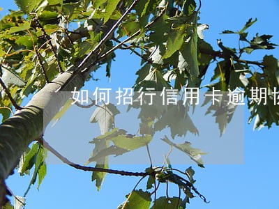 如何招行信用卡逾期协商 如何招行信用卡逾期协商