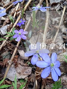 如何拿到法院预留的房租 如何拿到法院预留的房租