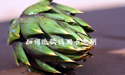 如何挽救信用卡逾期 如何挽救信用卡逾期