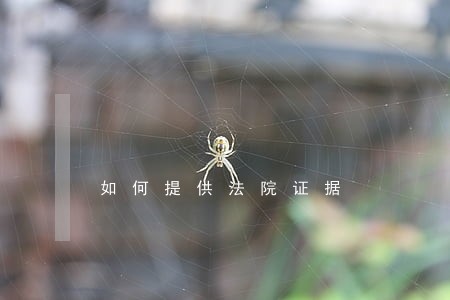 如何提供法院证据 如何提供法院证据