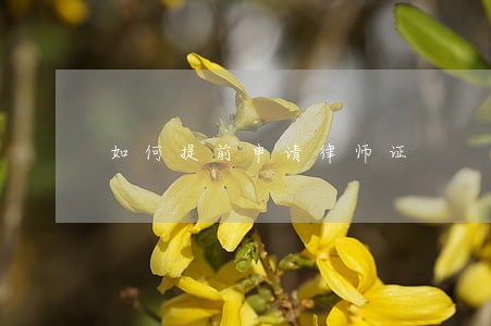 如何提前申请律师证 如何提前申请律师证