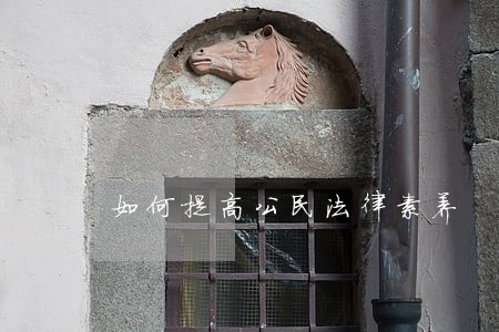 如何提高公民法律素养 如何提高公民法律素养