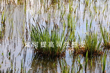 如何提高司法感受