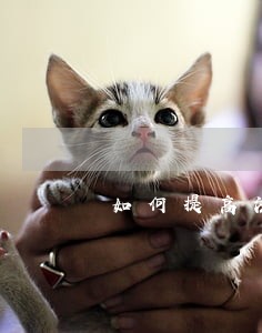如何提高法院执行力度 如何提高法院执行力度