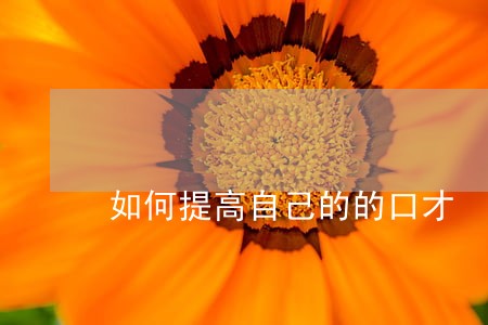 如何提高自己的的口才 如何提高自己的的口才