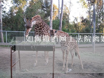 如何撤销网上法院离婚公告 如何撤销网上法院离婚公告