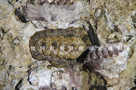 如何收集证据诉讼逾期p2p 如何收集证据诉讼逾期p2p