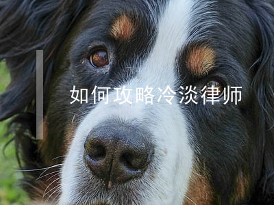 如何攻略冷淡律师 如何攻略冷淡律师