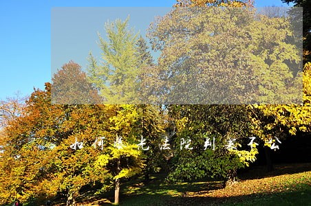 如何曝光法院判案不公 如何曝光法院判案不公