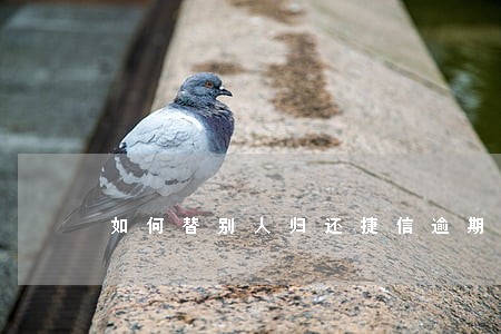 如何替别人归还捷信逾期贷款