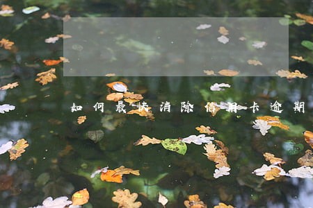 如何最快消除信用卡逾期记录